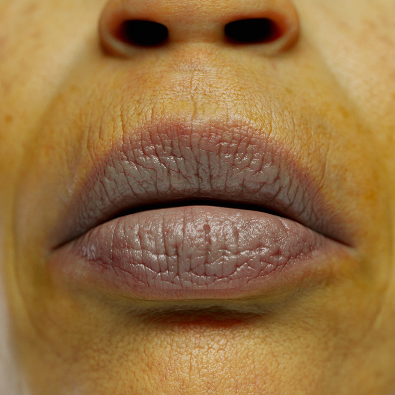 Download lips 3d model displacement maps 